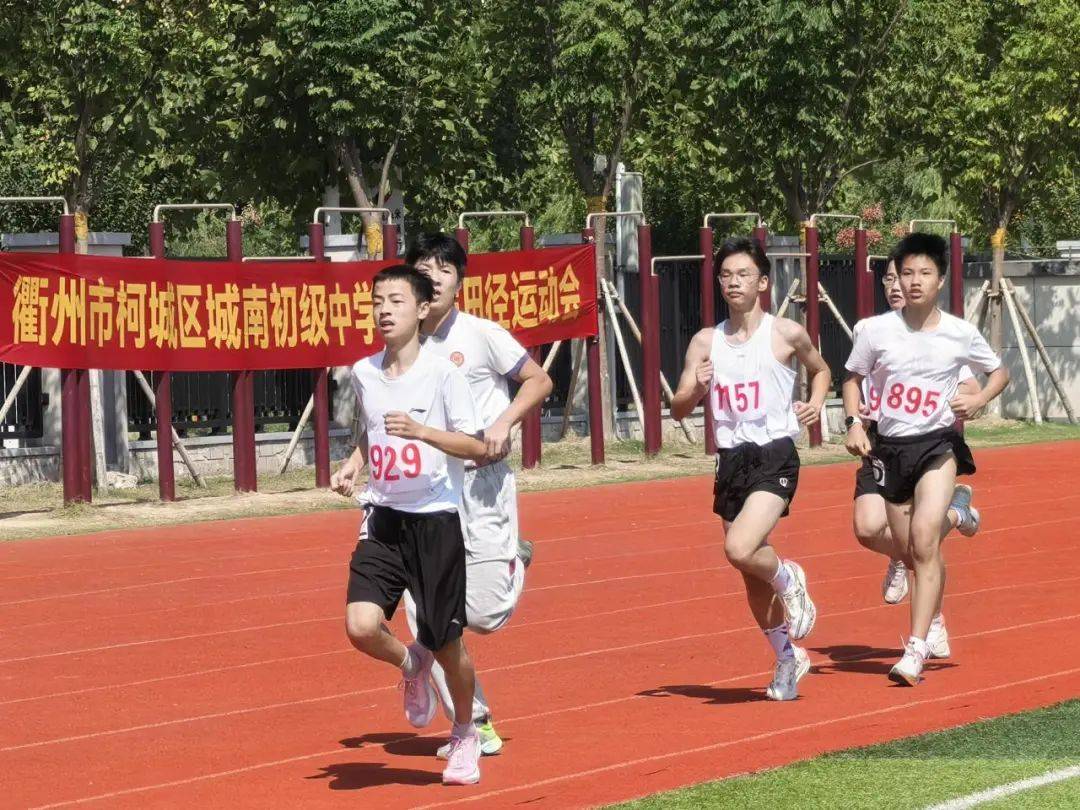 球场上选手尽展拼搏精神，为荣誉而战